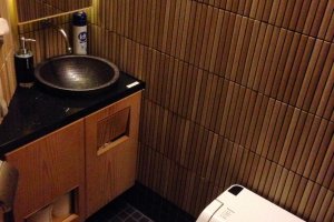 modern yet japanese style toilet