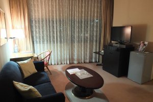Living area in the Deluxe Room