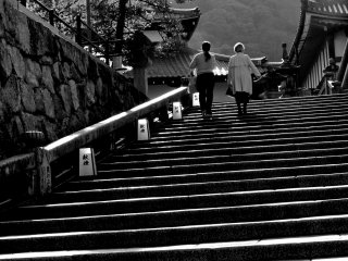 Climbing the steps to Kiyomizudera in the early morning light