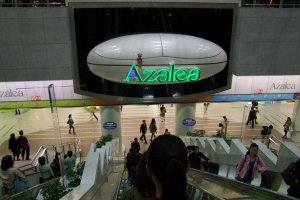 The &quot;Azalea&quot; sign opens up and plays music every hour