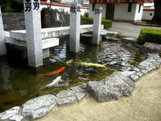Koi pond symbolizing Jofuku&#39;s seven disciples