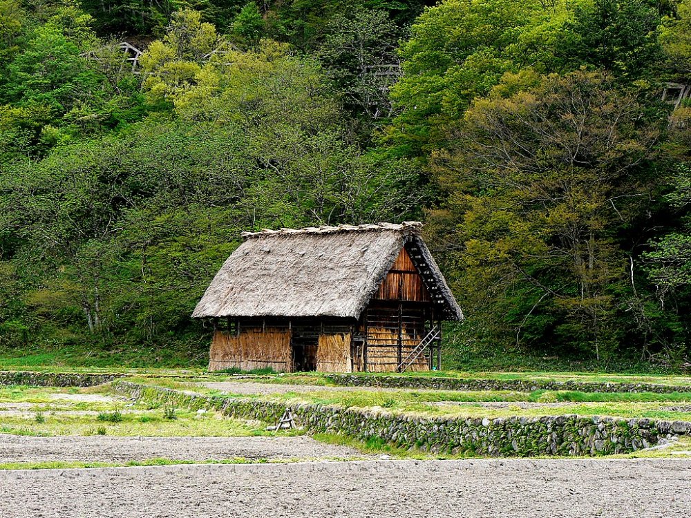 Small thatched roof house in a field