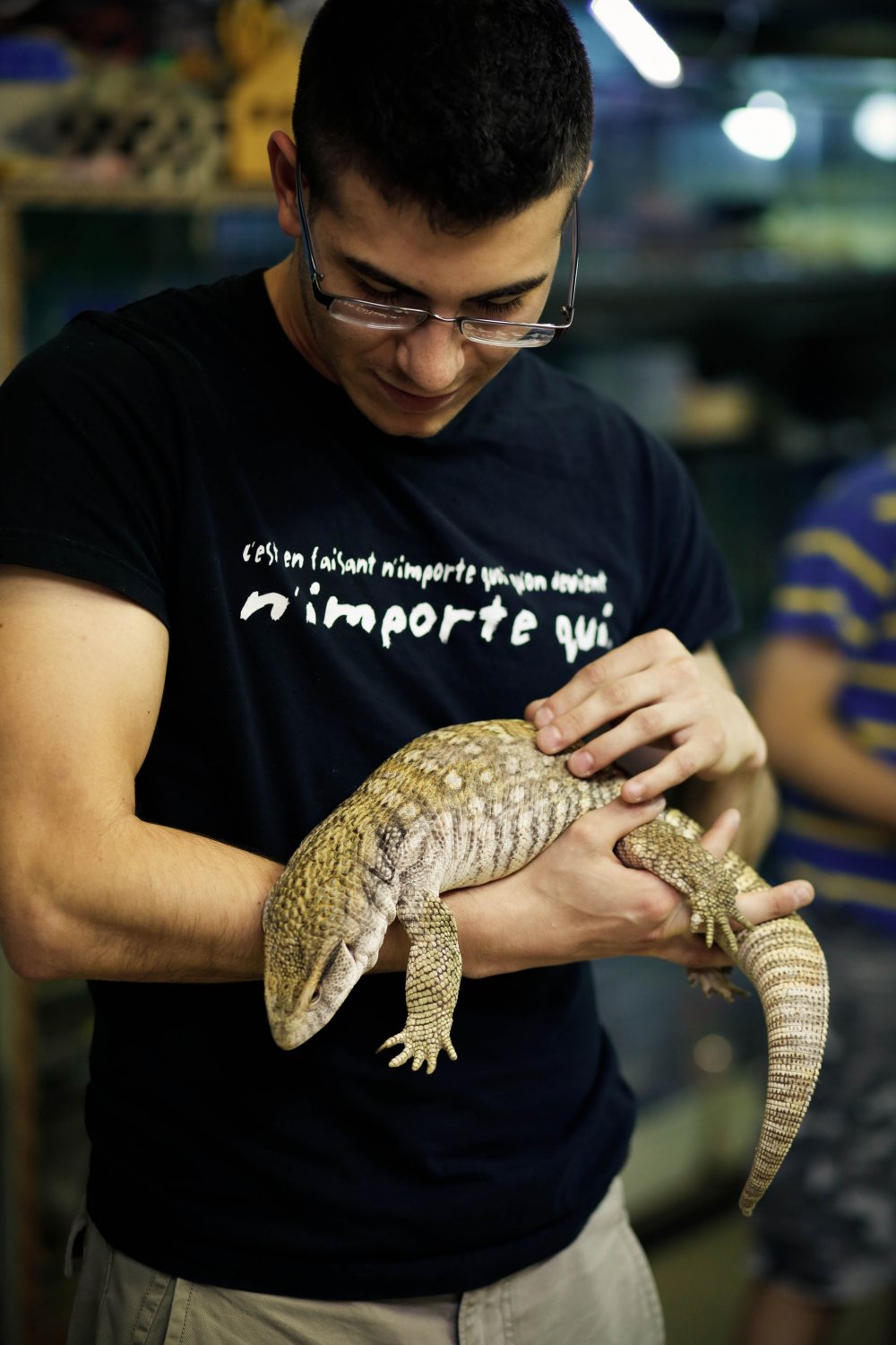 Yes, you can take this monitor lizard in your hands and it would sit there quietly without even moving.&nbsp;