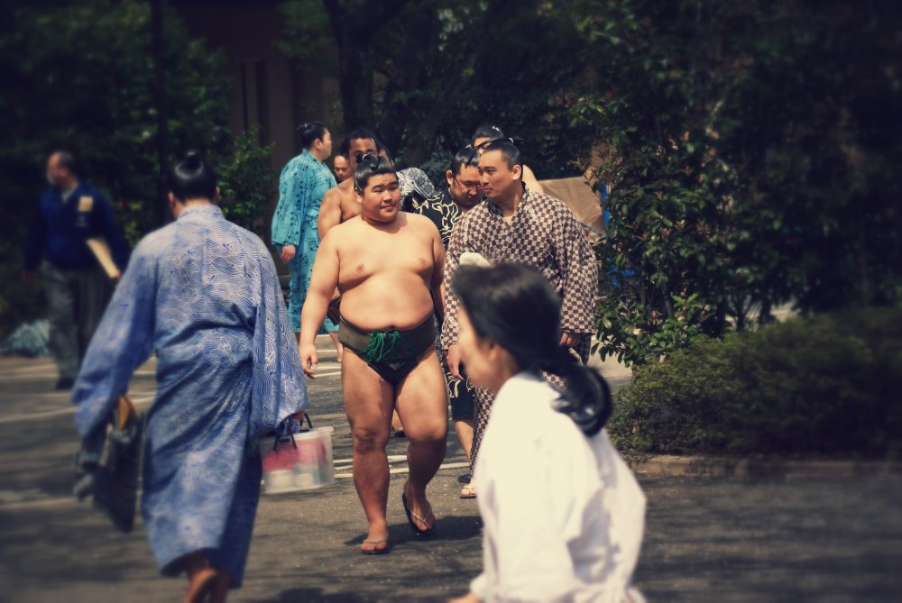 The sumo wrestlers arrive early and mingle with fans as the stroll through Yasukuni Shrine towards the arena