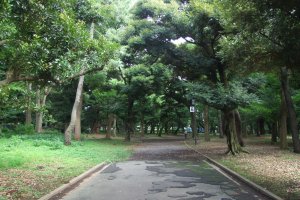 Tree-lined paths &nbsp;