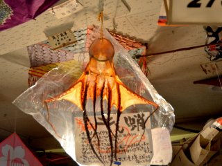 A dried Ika (squid) kite.