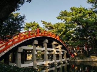 The bridge is one of the main attractions in Sumiyoshi Taisha.