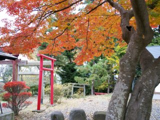 Vivid autumn colors&nbsp;brighten up Kitaro Inari&nbsp;Shrine! It&#39;s a small shrine, yet so beautiful
