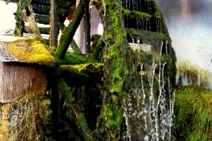 Magnificently mossy water wheel