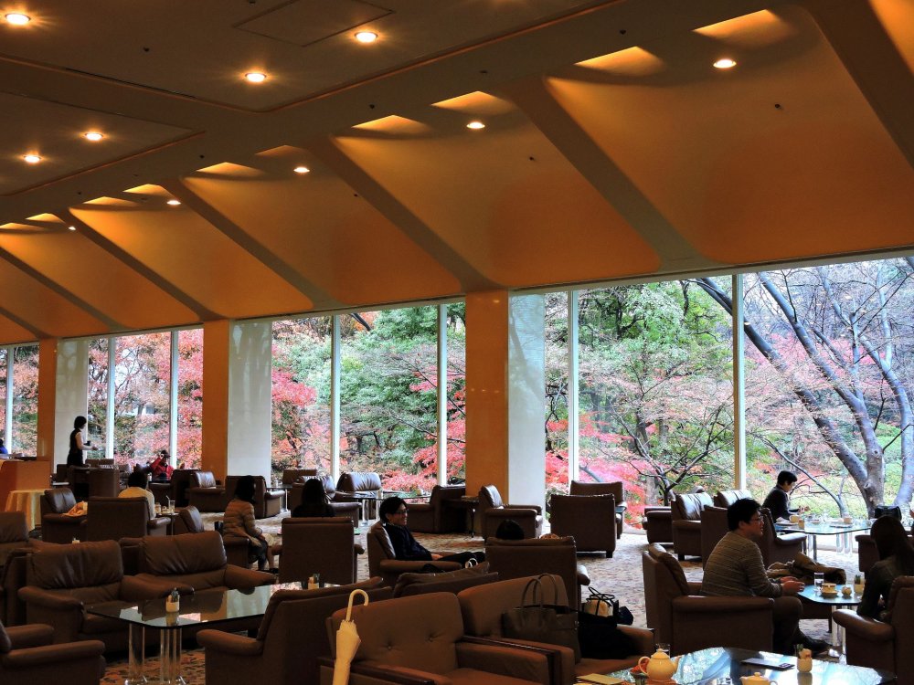 When you walk down the lobby, beautiful autumn leaves in the Japanese Garden outside draw your attention