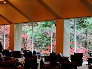 The spacious lounge has comfortable sofas and tall windows through which you can view the beautiful colored leaves in the garden