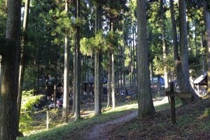 The trees keep the camp cool in summer