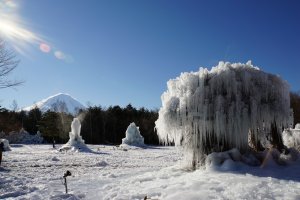 Amazing view of Mt. Fuji and this ice tree sculpture