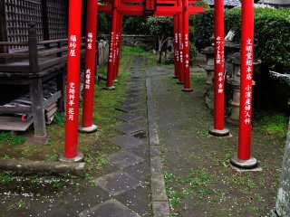 Tenjin shrine has white torii gates (see the second photo) and this Inari (fox) shrine inside it has red gates! The combination of red and white can be considered as a good-luck charm.