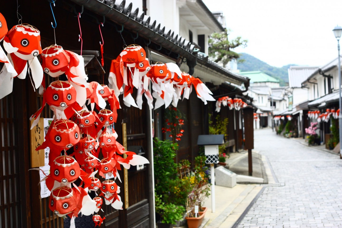 Goldfish lanterns line the streets in the Shirakabe no Machi.