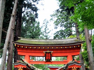 The path leading to the main hall is surrounded by ancient cedar trees.