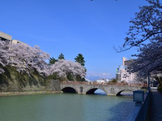 View of the castle bridge under the blue sky in spring