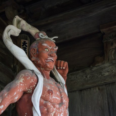 Shikoku Pilgrimage: Temples No. 8 &amp; 9