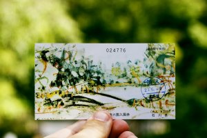 The pretty entrance ticket