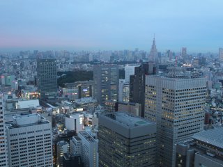 Tokyo waiting patiently for the sun to go down