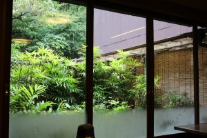 Garden view at the back of the restaurant
