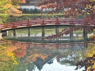 Dark orange leaves lean over a red bridge in a shrine