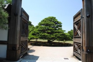 Entrance to the Japanese garden outside the Ninomaru Palace