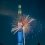 Sumidagawa Fireworks Festival 2024
