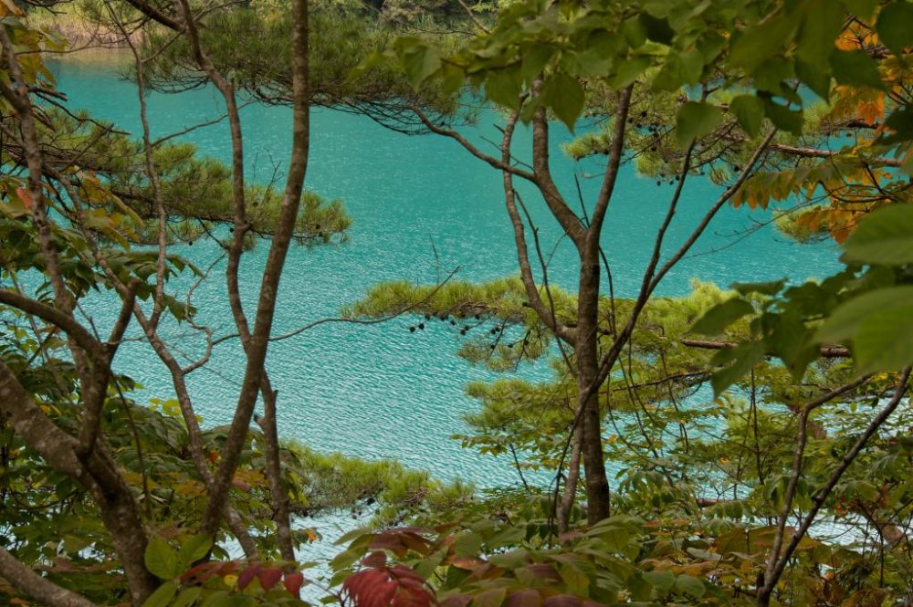 A turquoise pond
