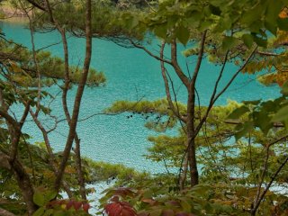 A turquoise pond