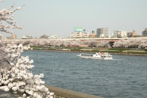Tokyo Sumida River Cruising