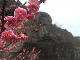 Behind the blossoms is the stone carved Buddha.