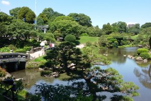 Green Suizenji Park in Summer