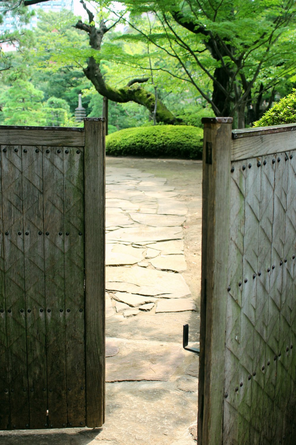 Charming little gate at the entrance