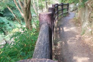A fenced in hiking trail makes this a family friendly hike