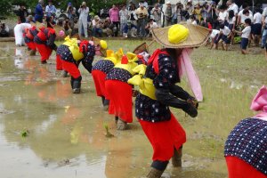 Costumed participants plant the year's first rice crop in Arao