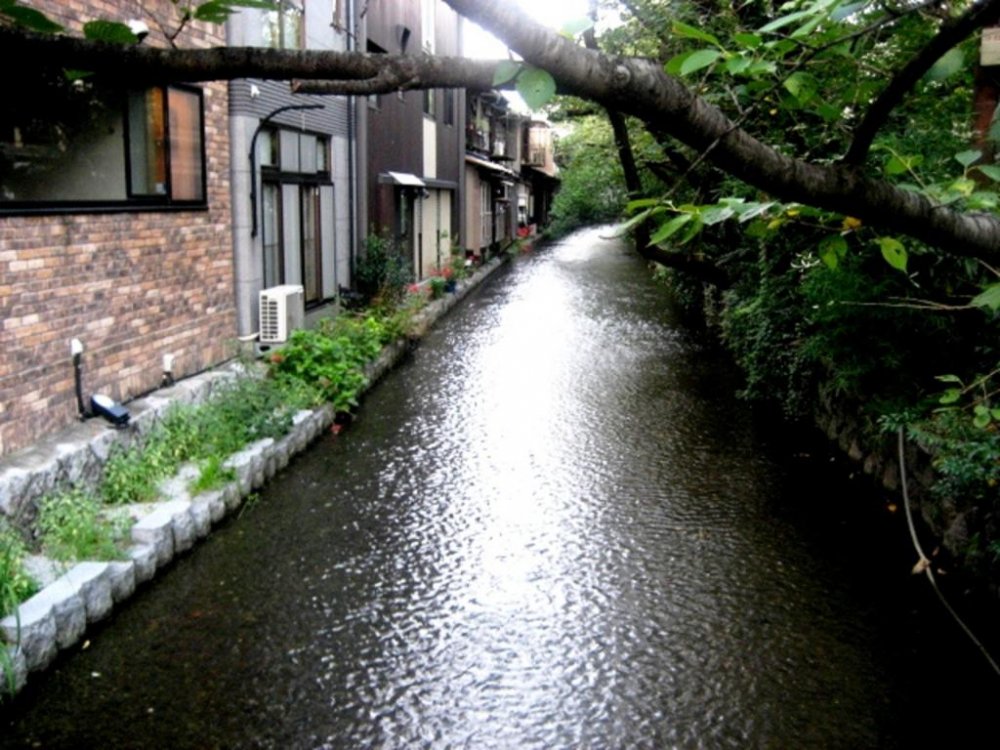Many townhouses and restaurants have beautiful views of the canal at Kiyamachi Kyoto just south of Shijo Street
