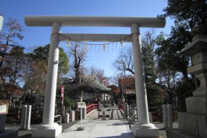 An impressive torii at one of the entrance