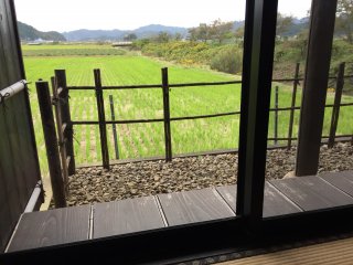 Enjoy the rice paddy view as you slurp your noodles