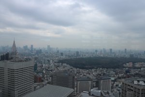 The View from the Tokyo Metropolian Building 
