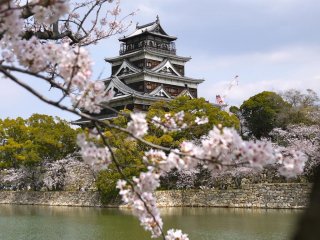 Hiroshima-jo (Hiroshima castle) shown surrounded by blossoms as seen from across the moat