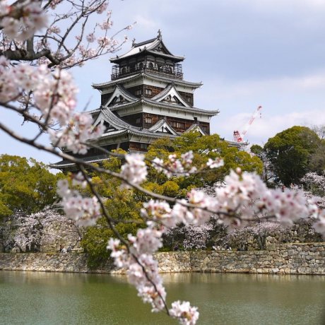Sakura Beauty in Hiroshima 