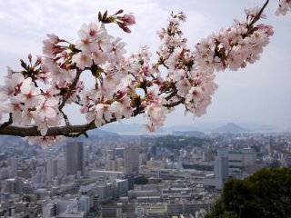 There are outstanding views from the peace pagoda over the city and out to the islands in the seto-naikai beyond