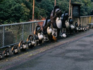 Tanuki, a family of raccoon badgers, standing in line at the station