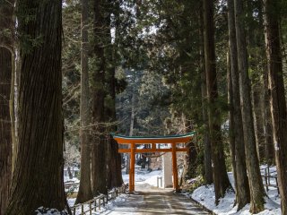 Walk past the torii gate and farther into Chuson-ji's grounds, where fewer people venture, to find more photo opportunities