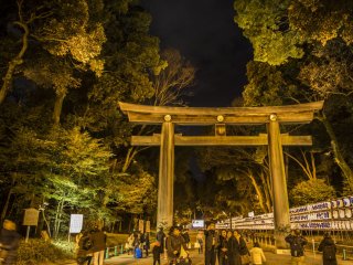 The only time you can catch Meiji Shrine after dark is probably New Year's Eve, when people head there for their prayers