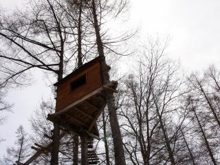 Treehouse will be getting some use shortly