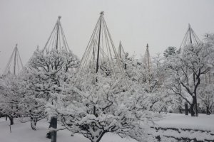 Takaoka Kojo Park in Winter