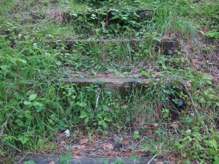 Grass covered steps lead you on an adventure in the park