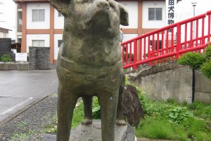 Hachiko statue guarding the Akita Dog Museum